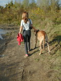 Stroll With My Pet