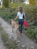 Stroll With My Pet
